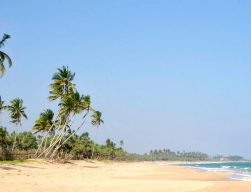 The Best Family Beaches in Sri Lanka