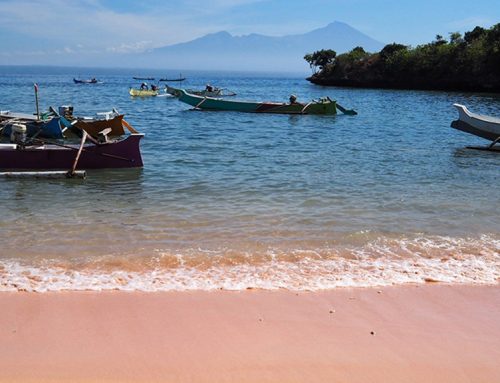 Lombok’s Enchanting Pink Sand Beach: See It To Believe It