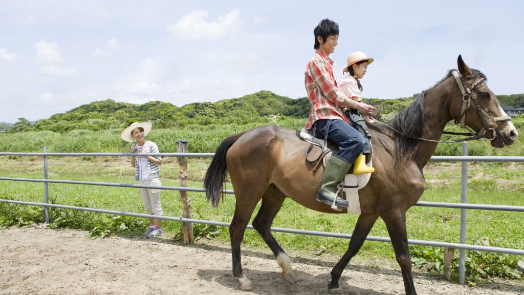 Family experiencing horse riding