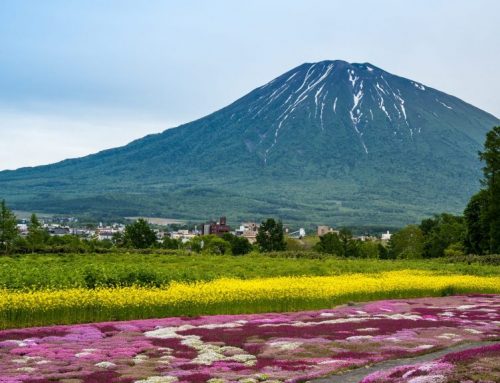 Why a Summer Trip to Niseko is Japan’s Best Kept Secret