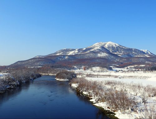 Niseko Ski vs Rest of the World: What to Expect in Japan’s Powder Capital