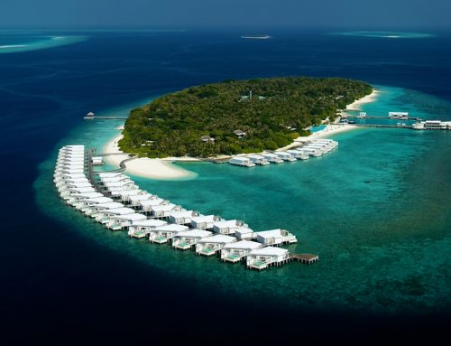 Visit, Vaccinate and Vacation in the Maldives