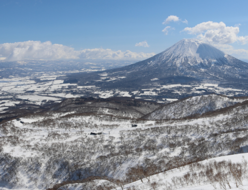 8 Reasons Why November is the Perfect Time to Visit Niseko